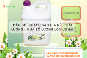 Dầu gội khách sạn giá rẻ, chất lượng – Mua số lượng lớn ưu đãi