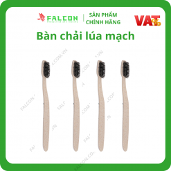 bàn chải khách sạn chất liệu lúa mạch