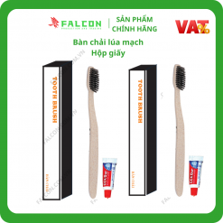 Bàn chải lúa mạch dùng 1 lần trong khách sạn