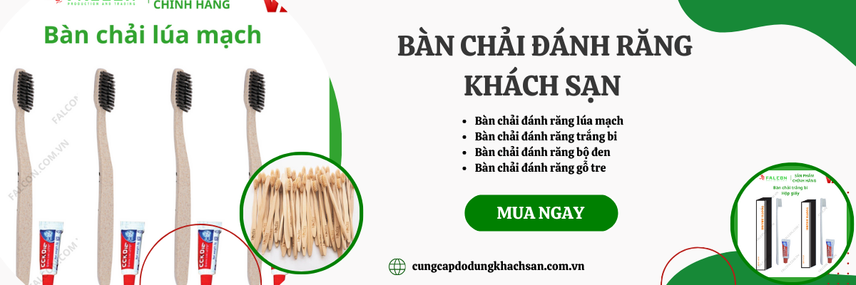 Banner bàn chải đánh răng trong khách sạn